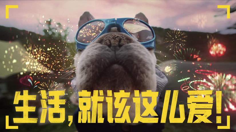 TMALL